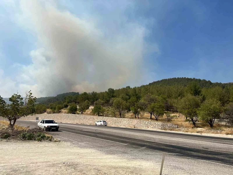 Adıyaman’da orman yangını
