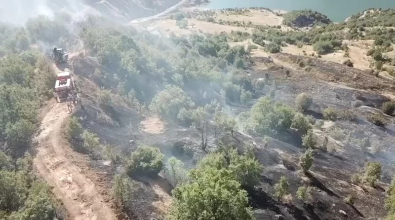 Ormanlık alanda çıkan yangın büyümeden söndürüldü
