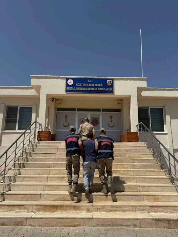 Mardin’de hayvanlara ilişkin uygunsuz paylaşım yapan şahıs gözaltına alındı
