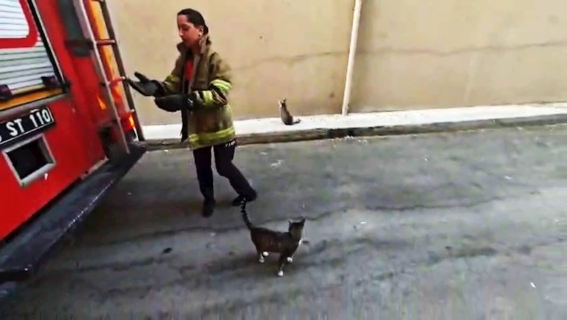 Karabük’te boş daire balkonunda mahsur kalan kedi kurtarıldı
