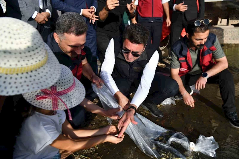 Tunceli’de 850 bin adet balık suyla buluşturuldu
