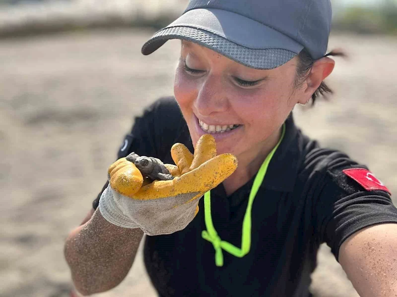 Antalya’da yavru caretta carettaların denizle buluşması için nöbet tutuluyor
