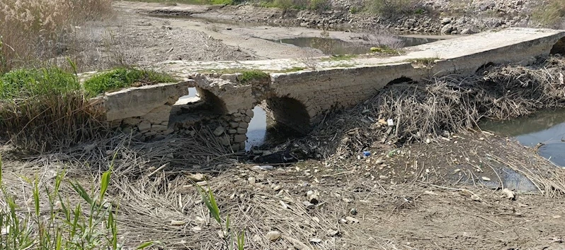 Başkan Sürücü: 