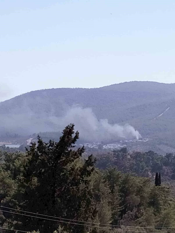 Yangın ormana sıçramadan söndürüldü
