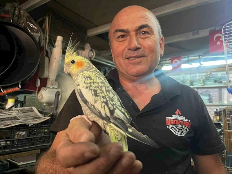 Soba ve mangal ustası Mustafa Göktürk’ün kuş sevgisi
