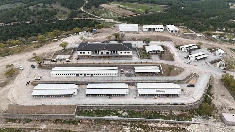 Sokak hayvanları doğal yaşam alanlarına denetim
