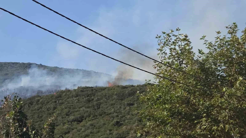 Bursa’daki orman yangını kontrol altına alındı
