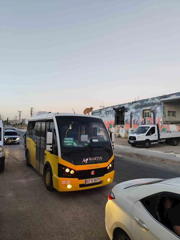 Mardin’de dolmuşun üzerinde yolculuk yapan kedi kameraya yansıdı
