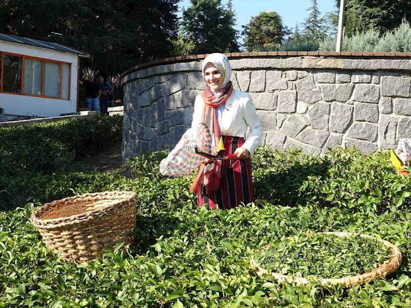 Bakan Göktaş: 