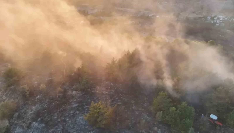 Ordu’da ormanlık alanda çıkan yangın söndürüldü
