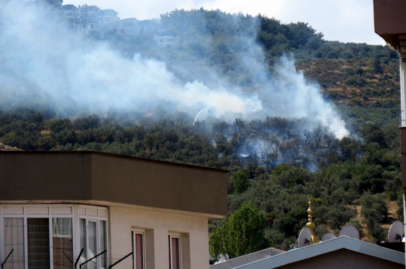 Mudanya’da korkutan yangın
