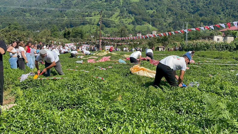 Güneyden Antep’in zılgıtı ve kuzeyden Artvin’in tulum sesi çaylıkta buluştu
