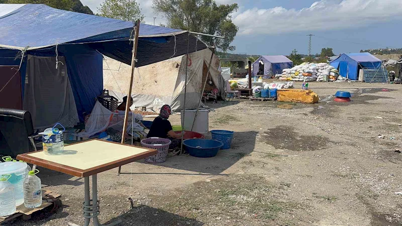 Fındık işçilerinin çadır hayatında her şey var, su ve elektrik yok
