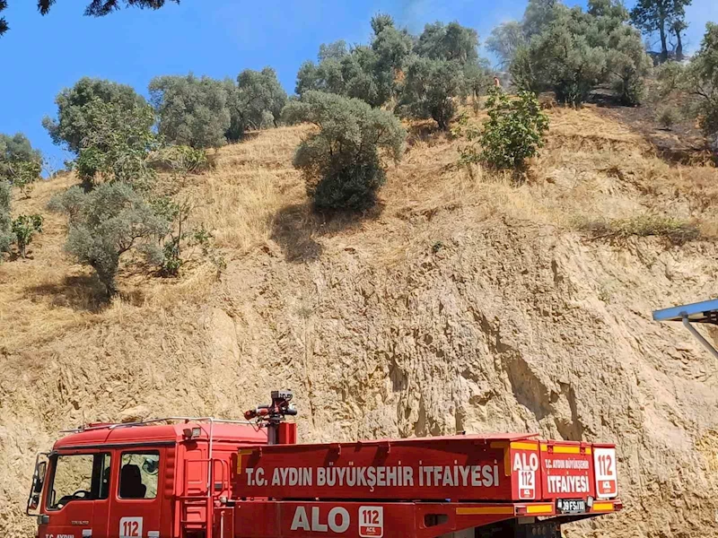 Köşk’teki zirai alan yangını kontrol altına alındı
