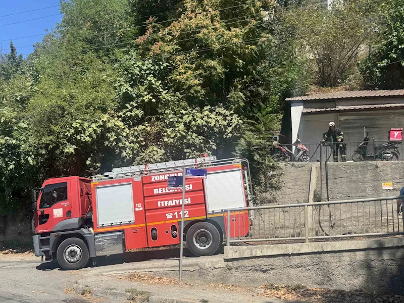 Zonguldak’ta ormanlık alanda çıkan yangın söndürüldü
