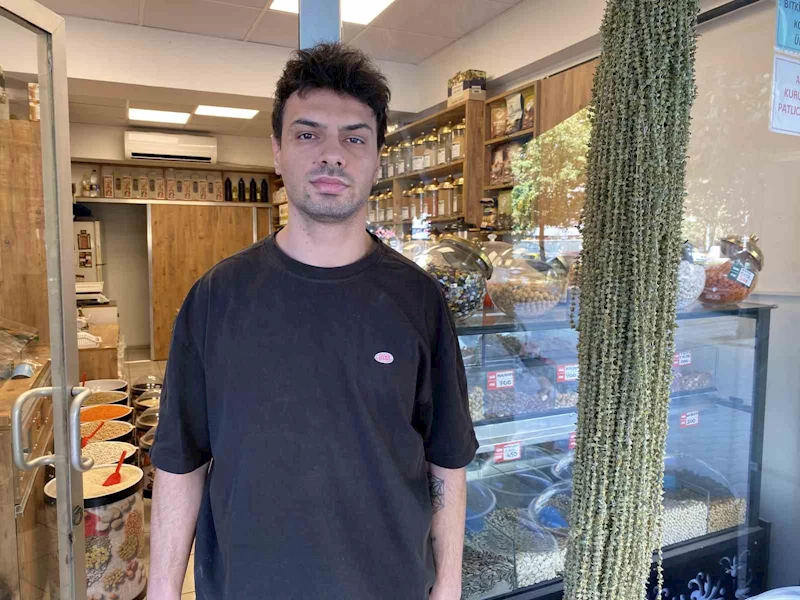 Kurutulmuş çiçek bamyanın altınla yarışan fiyatı düştü
