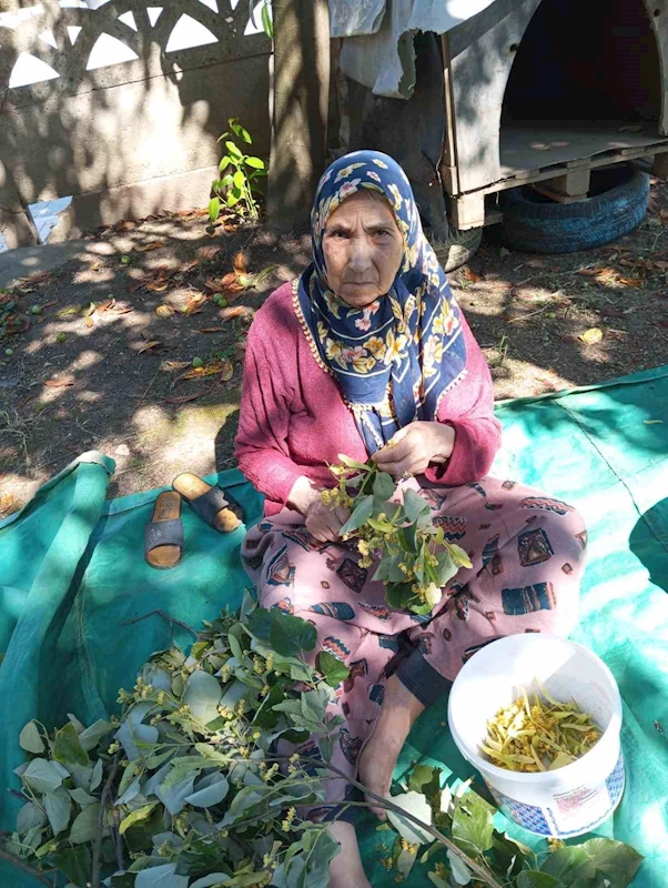 81 yaşındaki kadın her yerde aranıyor
