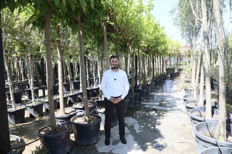 Kağıthane’ye 50 bin ağaç ve 1 milyon metrekare yeşil alan kazandırıldı
