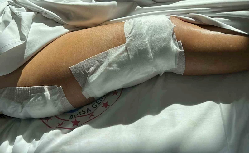 Yalova’da sürat teknesinin çarptığı yaşlı kadın ağır yaralandı
