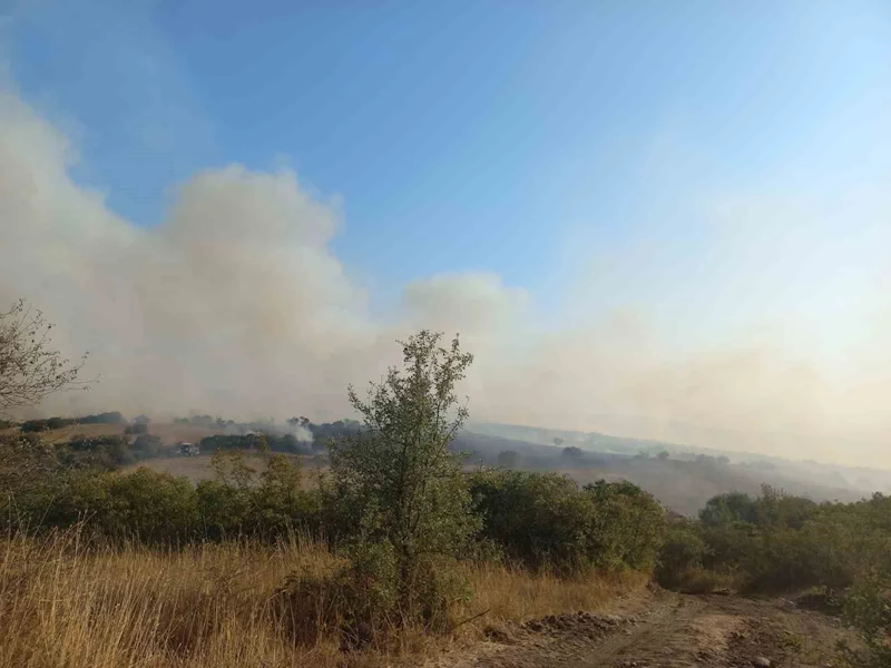 Balıkesir’de arazi yangını
