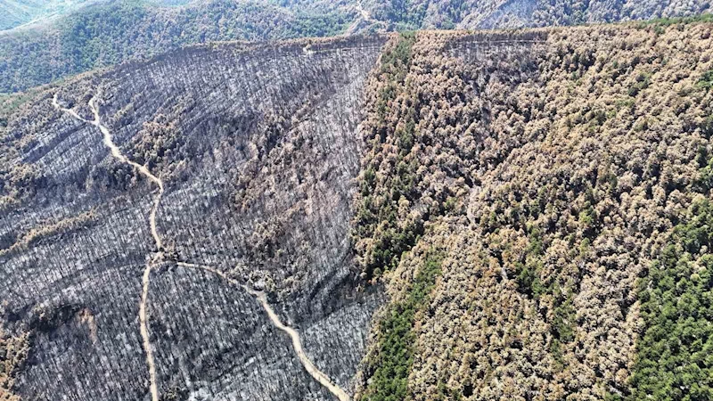 Karabük’te yangın sonrası ormanlar hazan rengine büründü
