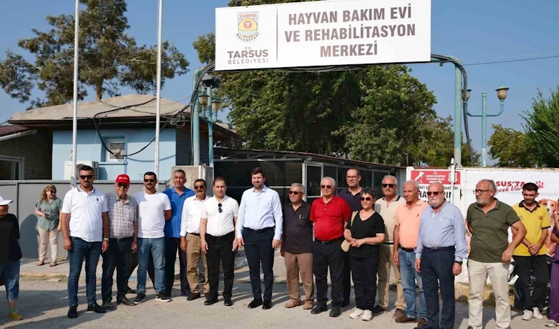 Boltaç, 