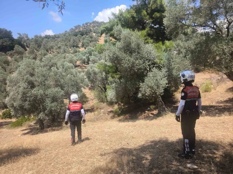 Jandarma Aydın’da yangın nöbetinde
