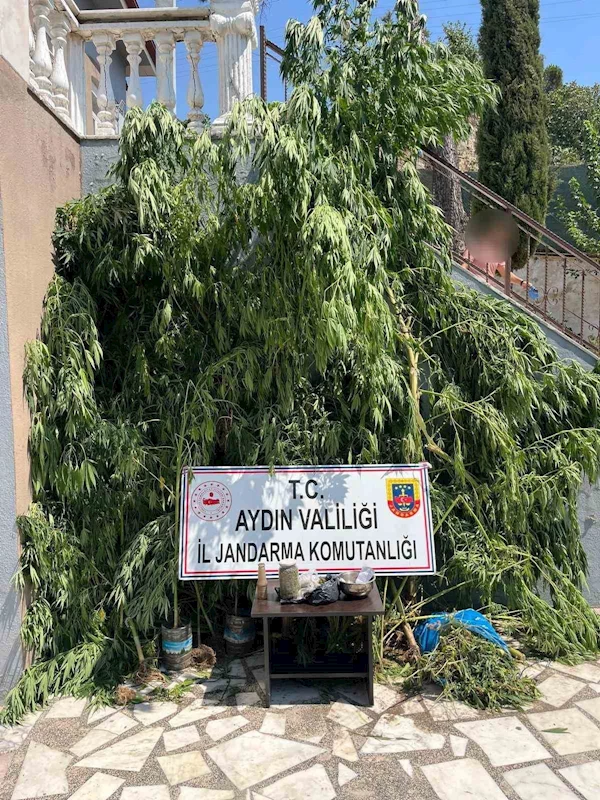 Evinin bahçesine saklamak istedi, narkotik köpeğine takıldı
