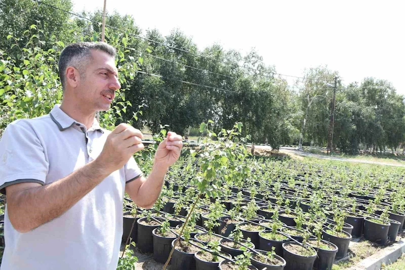 Erzurum Orman Bölge Müdürü Karakurt: 