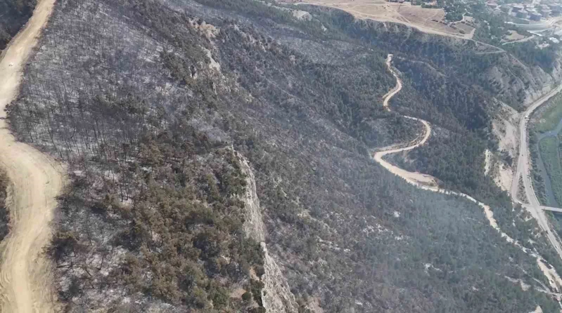 Orman yangınında zarar gören alanlar dronla görüntülendi
