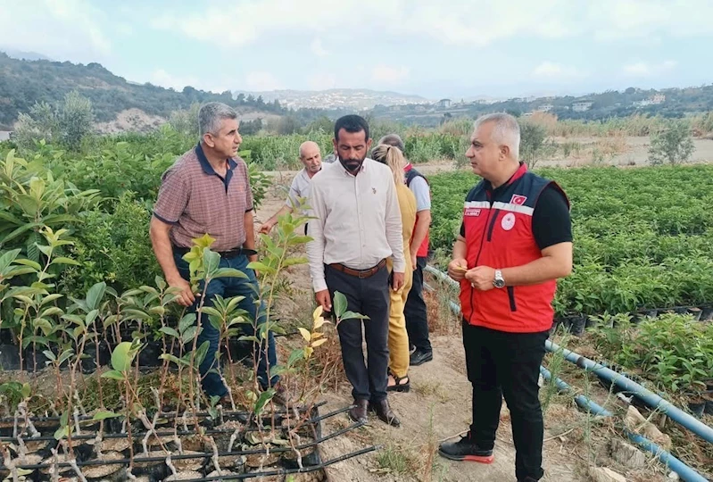 İl Tarım Müdürü Türkmen, fidan üretim sahalarını inceledi
