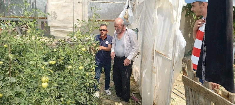 Tavşanlı’da seralarda bitki hastalık ve zararlı kontrolleri
