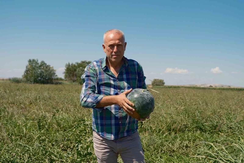 Sözleşmeli ekti 3 bin 500 ton karpuzu tarlada kaldı
