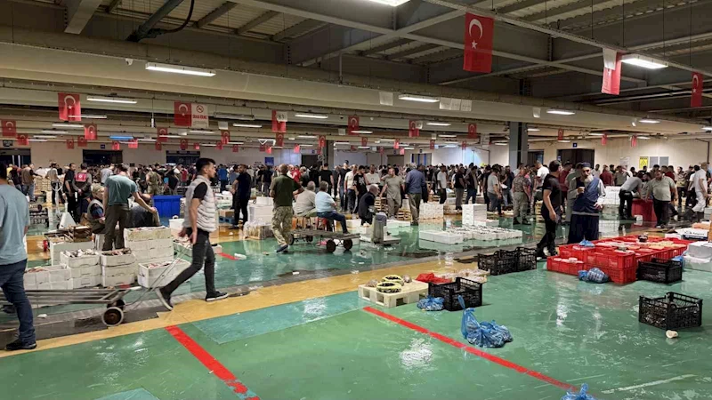 Av yasağının bitmesiyle İstanbul’da balıkçılık sezonu resmen başladı
