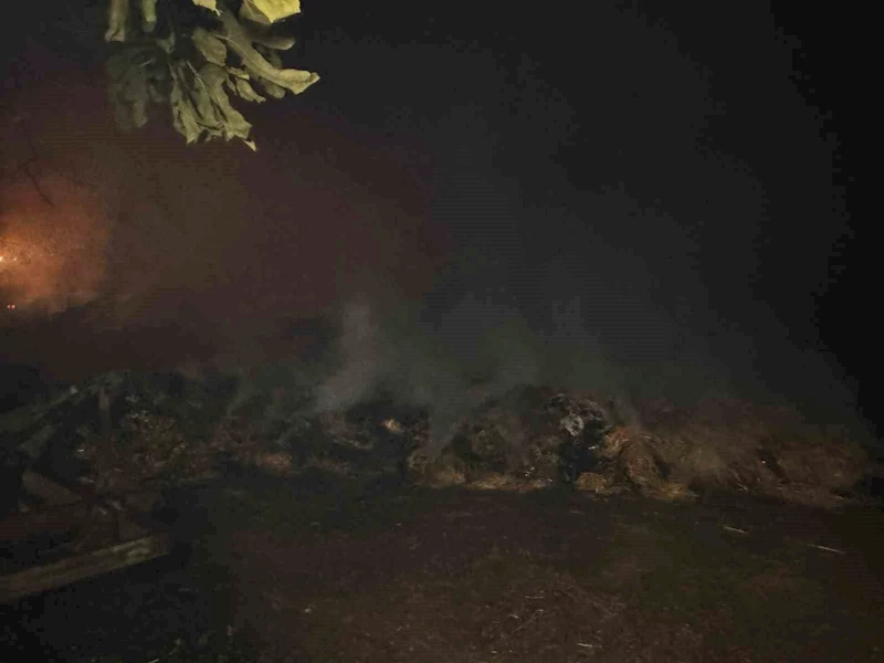 Alevlerin arasında kalan mahallede soğutma çalışmaları gece boyunca devam etti

