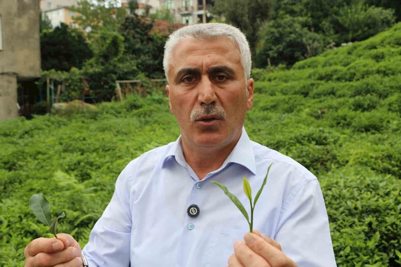12 Eylül 1980 darbesinde çay makası bile yasaklanmış
