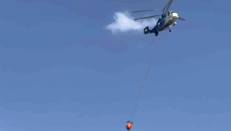 Güre’de zeytinlik yangını
