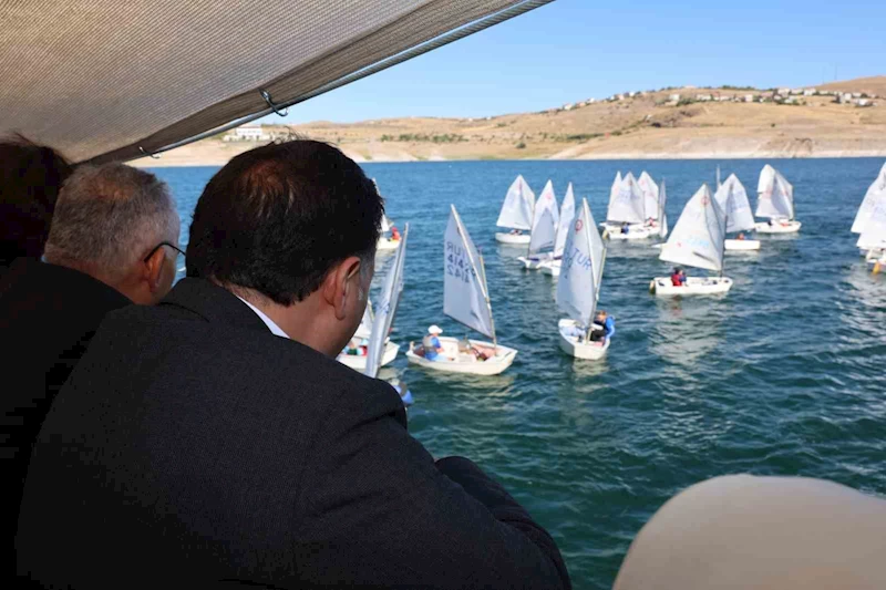 Vali Çiçek: 