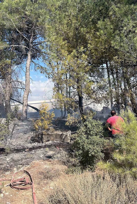 Menteşe’deki yangın kısa sürede söndürüldü
