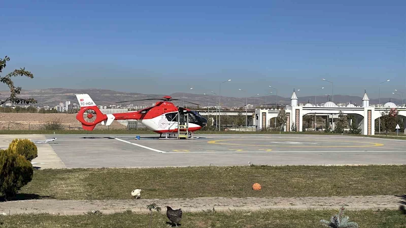 Ormanda ayı saldırısına uğradı, tedavi altına alındı
