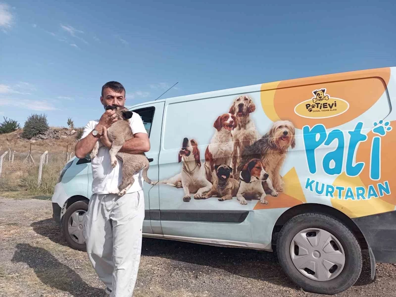 Yavru köpek için nefes kesen operasyon