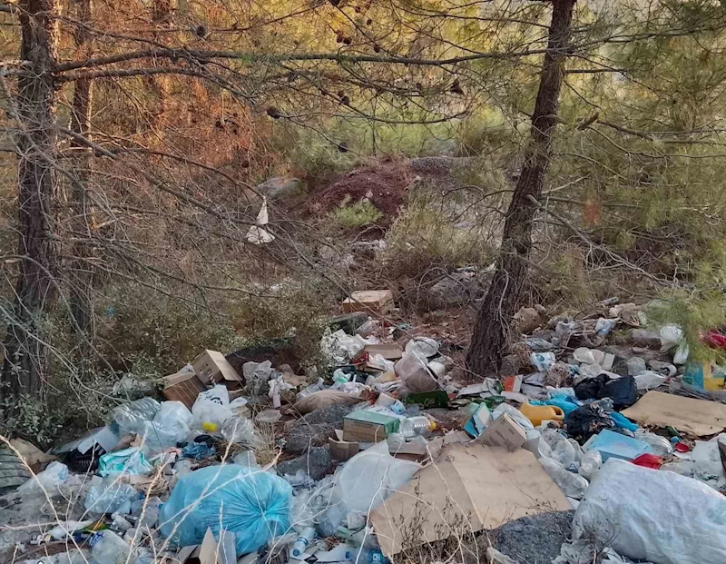 Çanakkale’de ormanlık alanlar çöpten geçilmiyor
