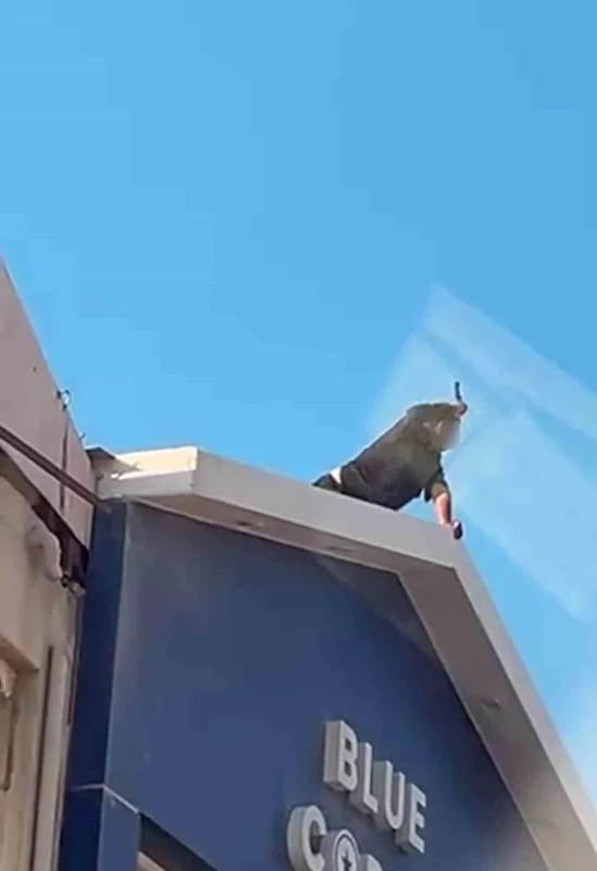 Elindeki bıçakla korku dolu anlar yaşatan şahsı ekipler ikna etti
