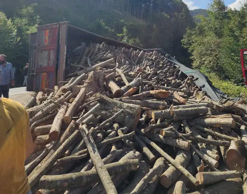 Ordu’da tomruk kamyonu devrildi: 21 ton tomruk yola saçıldı