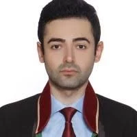 Hacze giden avukata saldırı
