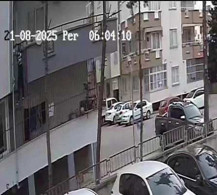 Örümcek gibi binaya tırmanan hırsız: 