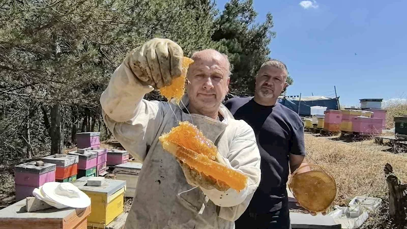 Bursa’da üretilen bu bal her derde deva
