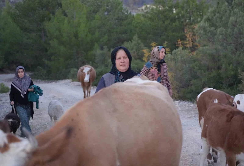 Kastamonu’da orman yangını kontrol altına alındı, vatandaşlar köylerine kavuştu
