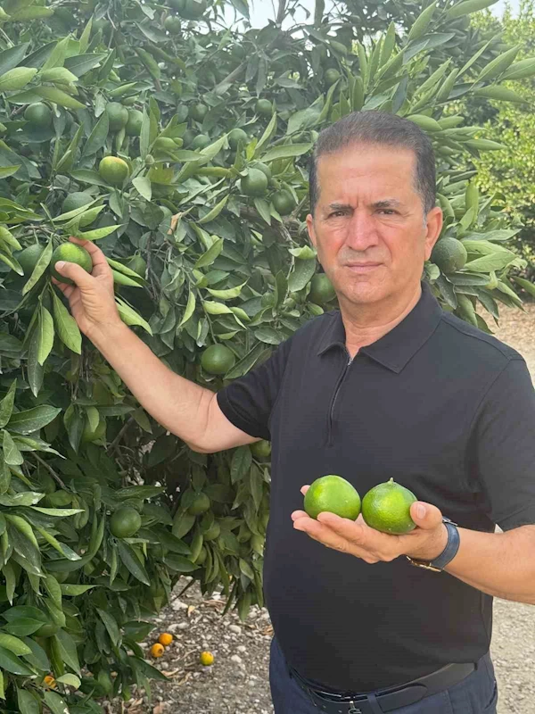 Doğan 