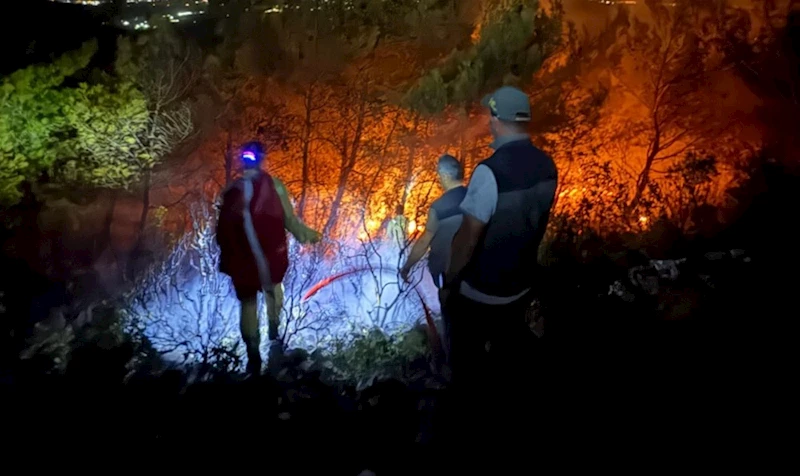 Söke’deki orman yangınının yayılması durduruldu

